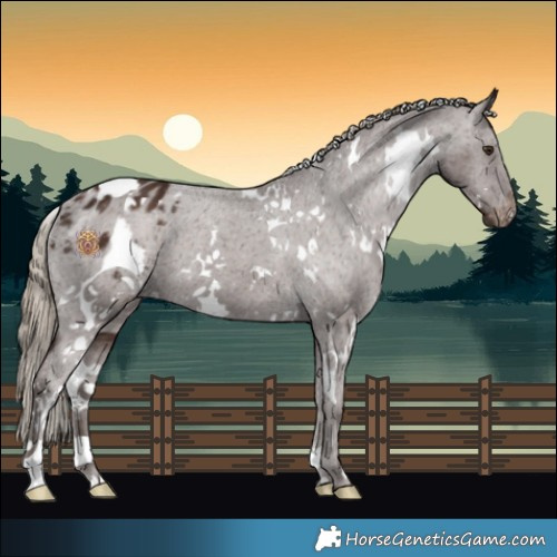 Horse Color:White Spotted Liver Chestnut Varnish