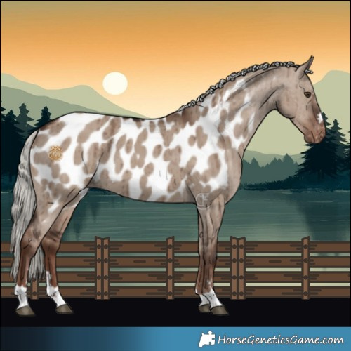 Horse Color:Liver Red Dun Mushroom Appaloosa Brindle 