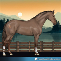 Horse Color:Liver Red Dun 
