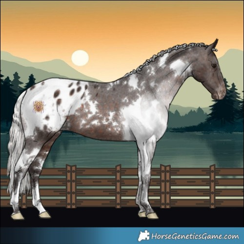 Horse Color:White Spotted Silver Brown Tobiano Appaloosa 