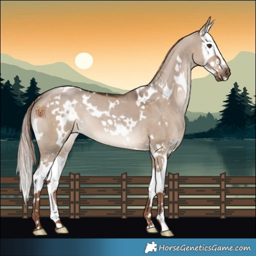 Horse Color:White Spotted Liver Red Dun Splash 