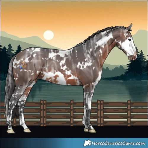 Horse Color:White Spotted Brown Ice Splash 