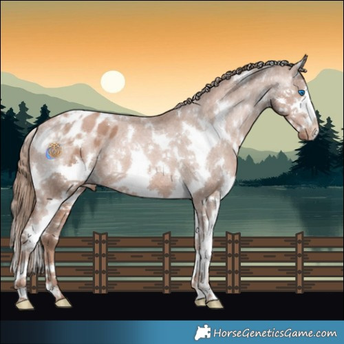 Horse Color:White Spotted Black Pearl Splash Appaloosa 
