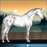 Horse Color:White Spotted Black Pearl Splash Blanket 