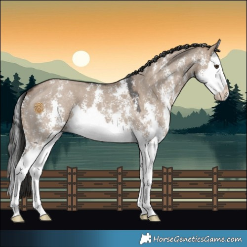 Horse Color:Liver Red Dun Sabino Splash 