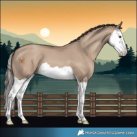 Horse Color:Classic Champagne Dun Splash 