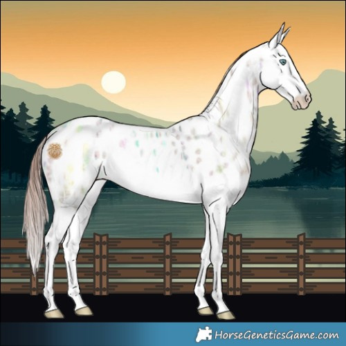 Horse Color:Sable Champagne Ice Dun Mushroom Splash Appaloosa 