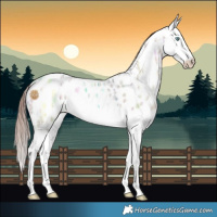 Horse Color:Sable Champagne Ice Dun Mushroom Splash Leopard