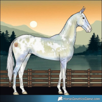 Horse Color:Watercolor White Spotted Silver Sable Champagne Onyx Blanket 