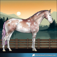 Horse Color:Painted White Spotted Silver Brown Pearl Onyx Splash 