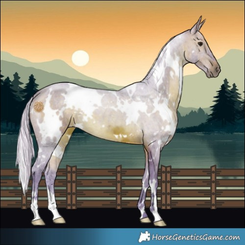 Horse Color:Watercolor White Spotted Silver Brown Mushroom 