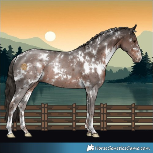Horse Color:White Spotted Liver Chestnut 
