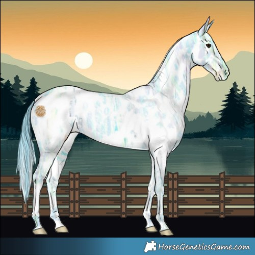 Horse Color:Watercolor White Spotted Black Ice Mushroom Appaloosa 