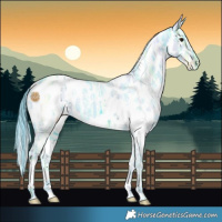 Horse Color:Watercolor White Spotted Black Ice Mushroom Near Leopard 