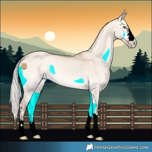 Horse Color:Silver Amber Champagne Onyx Mushroom 