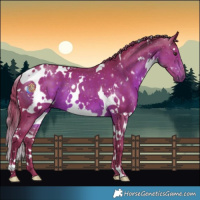 Horse Color:Watercolor White Spotted Liver Chestnut 