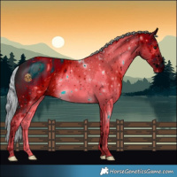 Horse Color:ERROR: UNKNOWN ANOMALY