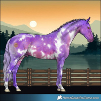 Horse Color:Watercolor White Spotted Liver Chestnut Mushroom 