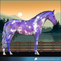 Horse Color:Watercolor White Spotted Liver Chestnut Mushroom