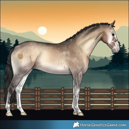 Horse Color:Brown Onyx