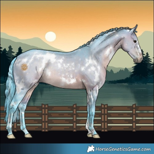 Horse Color:Watercolor White Spotted Brown Dun 