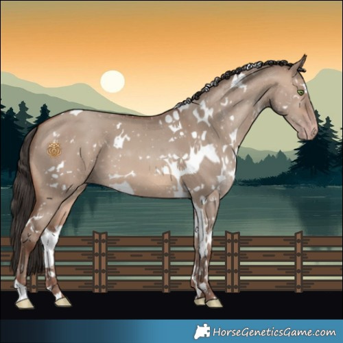 Horse Color:White Spotted Sable Champagne Dun