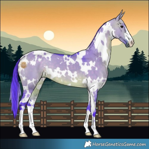 Horse Color:Watercolor White Spotted Brown Dun 