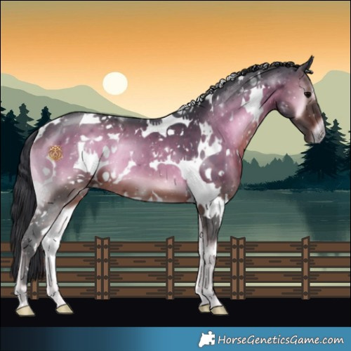 Horse Color:White Spotted Brown Onyx 