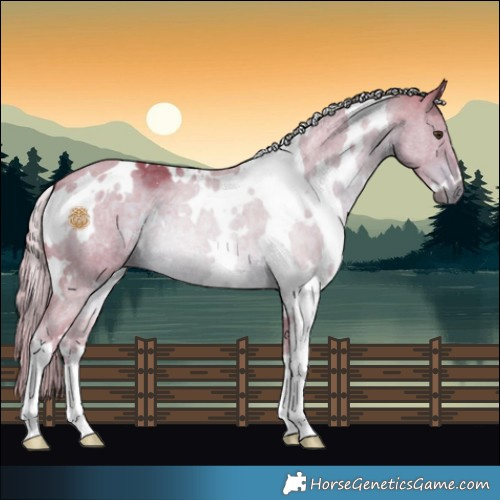 Horse Color:Watercolor White Spotted Liver Chestnut Mushroom 
