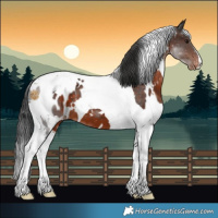 Horse Color:White Spotted Brown Tobiano Appaloosa 