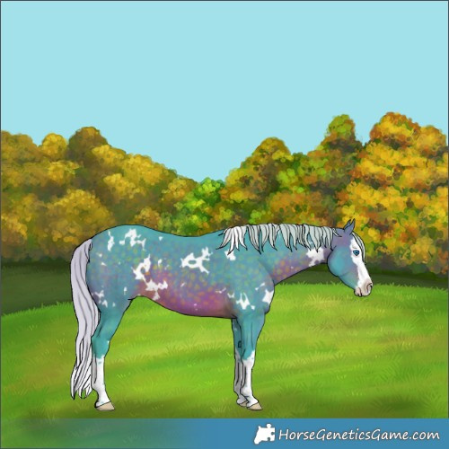 Horse Color:Watercolor White Spotted Silver Brown Splash 