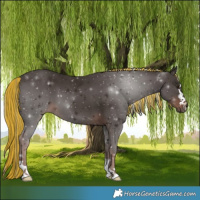 Horse Color:Painted Liver Chestnut Mushroom 