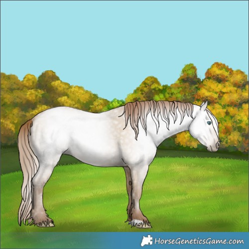 Horse Color:Gray Smoky Grullo Pearl 