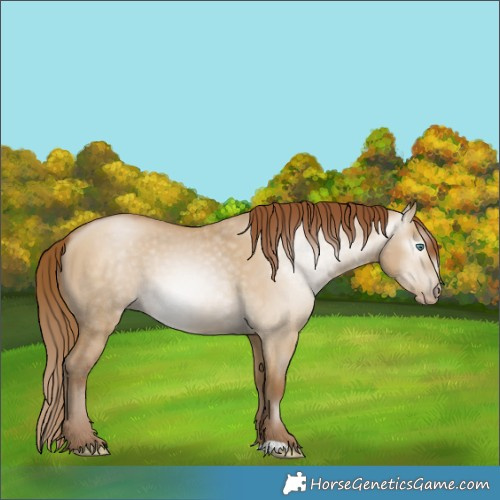 Horse Color:Gray Smoky Grullo Pearl 