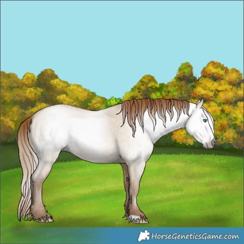 Horse Color:Gray Smoky Grullo Pearl 