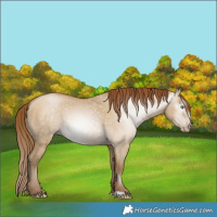 Horse Color:Gray Smoky Grullo Pearl