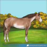 Horse Color:Brown Pearl 