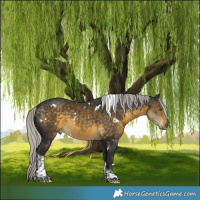 Horse Color:White Spotted Silver Buckskin Tobiano