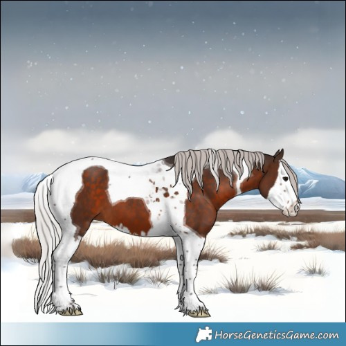 Horse Color:Silver Brown Splash Tobiano 
