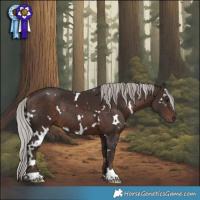 Horse Color:White Spotted Silver Brown Rabicano 