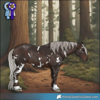 Horse Color:White Spotted Silver Brown Rabicano