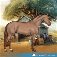 Horse Color:Red Dun 