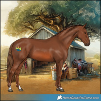 Horse Color:Chestnut 