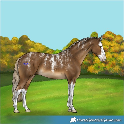 Horse Color:Powder White Chocolate Palomino Splash 