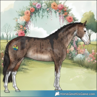 Horse Color:White Spotted Bay Dun Brindle 