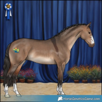 Horse Color:Bay Dun 