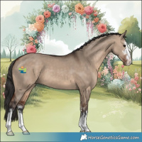 Horse Color:Bay Dun 