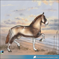 Horse Color:White Spotted Liver Red Onyx Sabino Rabicano