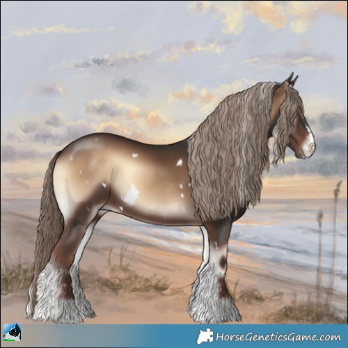 Horse Color:White Spotted Liver Red Onyx Sabino Rabicano 