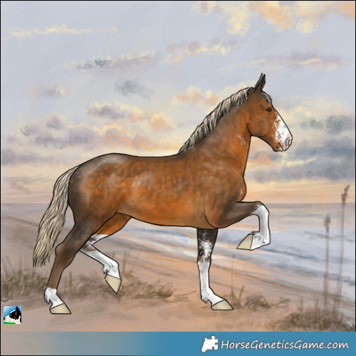Horse Color:Chocolate Palomino Sabino